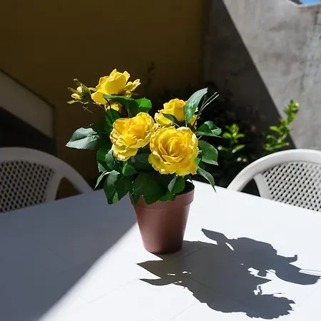 Villa Le Maioliche *